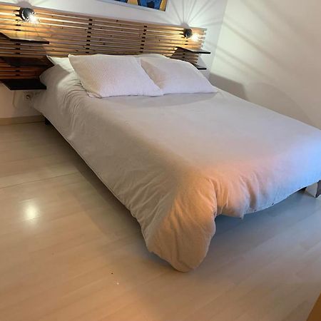 Le Petit Bruxelles Au Calme Apartment ตูลูส ภายนอก รูปภาพ