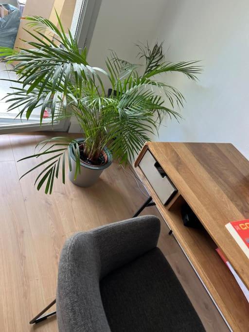Le Petit Bruxelles Au Calme Apartment ตูลูส ภายนอก รูปภาพ