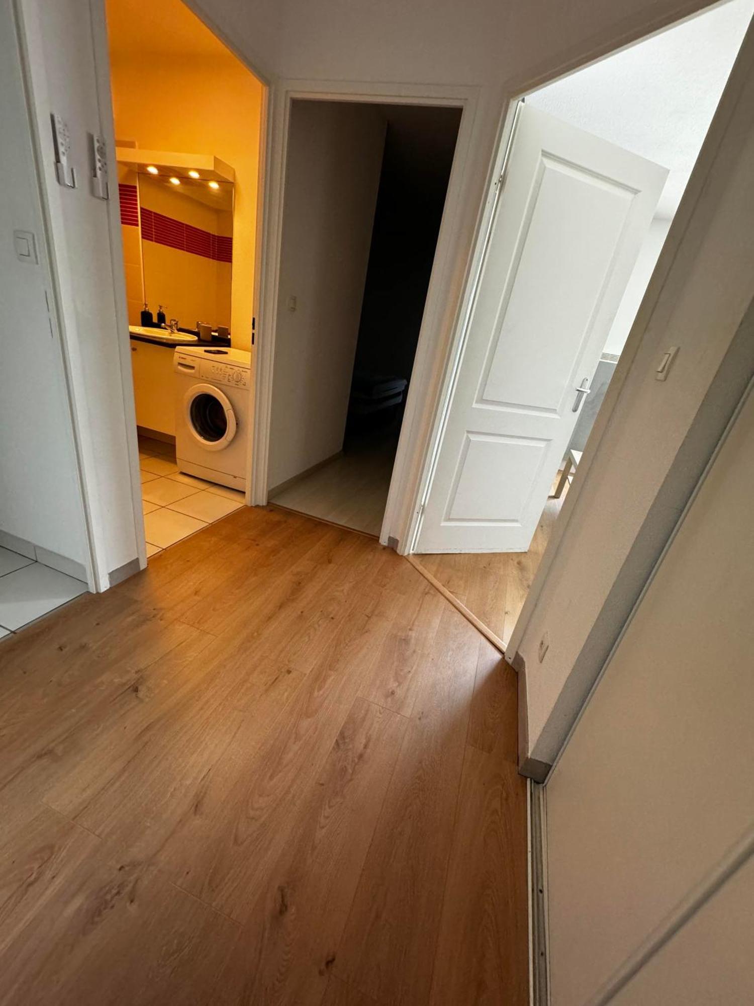 Le Petit Bruxelles Au Calme Apartment ตูลูส ภายนอก รูปภาพ